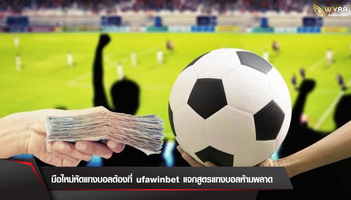 มือใหม่หัดแทงบอลต้องที่ ufawinbet แจกสูตรแทงบอลห้ามพลาด