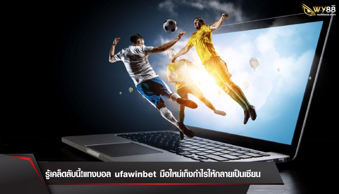 รู้เคล็ดลับนี้!แทงบอล ufawinbet มือใหม่เก็งกำไรให้กลายเป็นเซียน