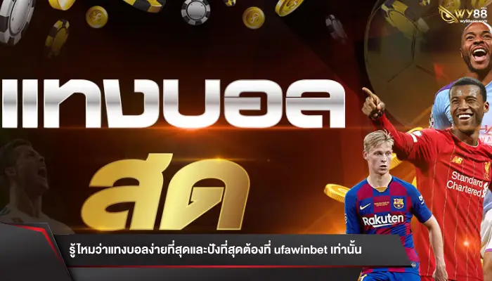 รู้ไหมว่าแทงบอลง่ายที่สุดและปังที่สุดต้องที่ ufawinbet เท่านั้น 